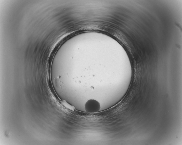 X0000102500984200808291708