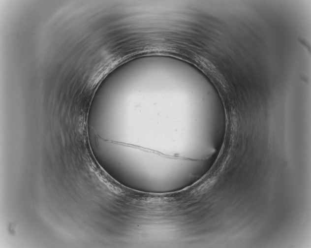 X0000102500985200808291708