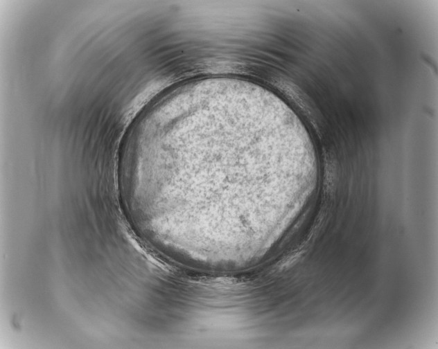 X0000102500986200808291708