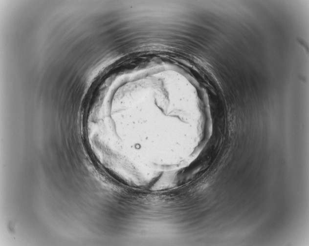 X0000102500987200808291707