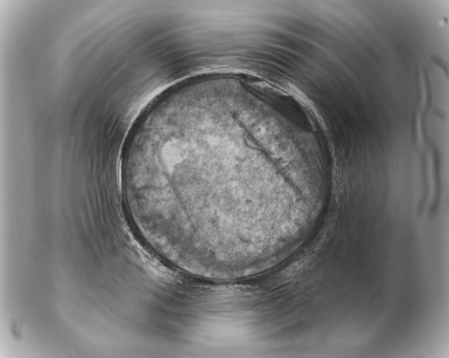 X0000102500988200808291707