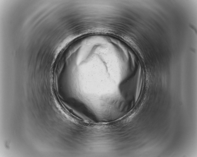 X0000102500989200808291707