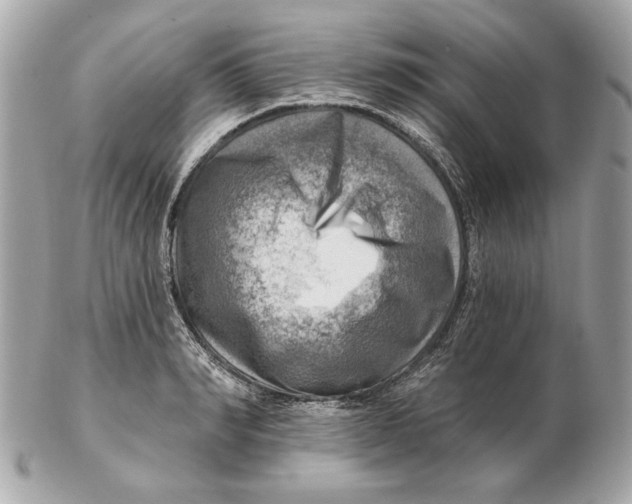 X0000102500990200808291707