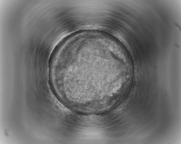 X0000102500992200808291707