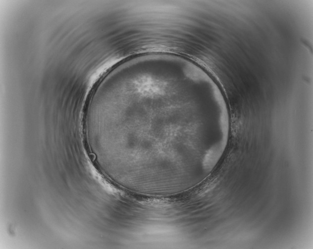 X0000102500995200808291707