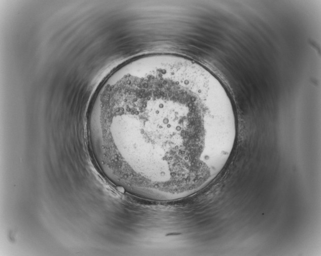 X0000102500996200808291707