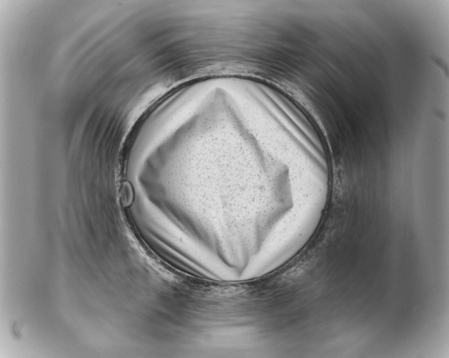 X0000102500997200808291707