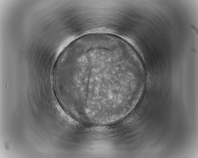 X0000102500998200808291707