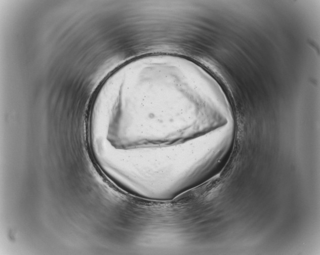 X0000102500999200808291707