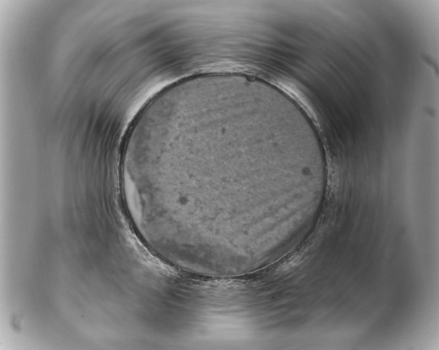 X0000102501000200808291707