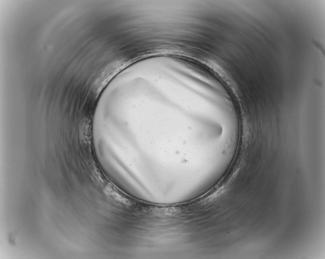 X0000102501001200808291707