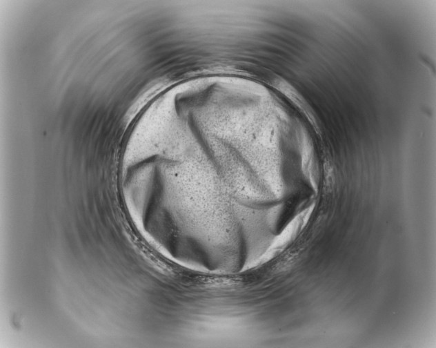 X0000102501002200808291707