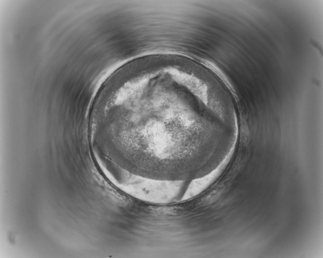 X0000102501004200808291707