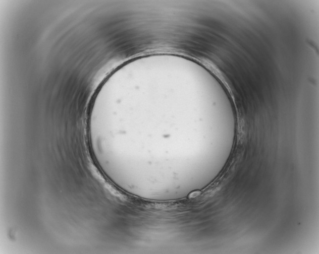 X0000102501005200808291707