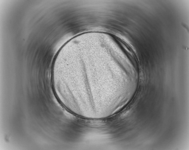 X0000102501007200808291707