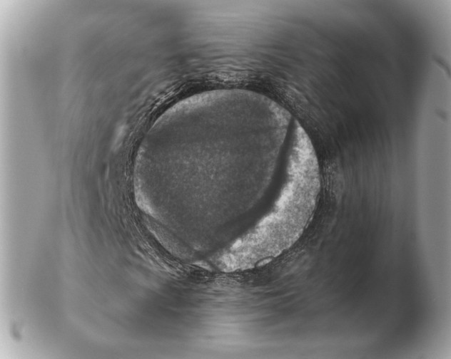 X0000102501009200808291707