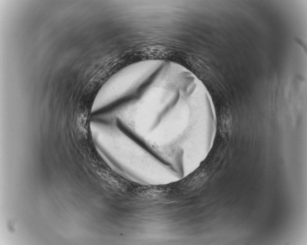 X0000102501010200808291707