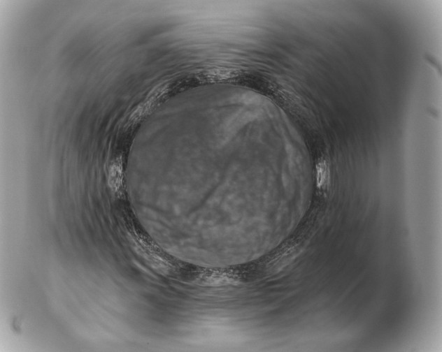 X0000102501011200808291707