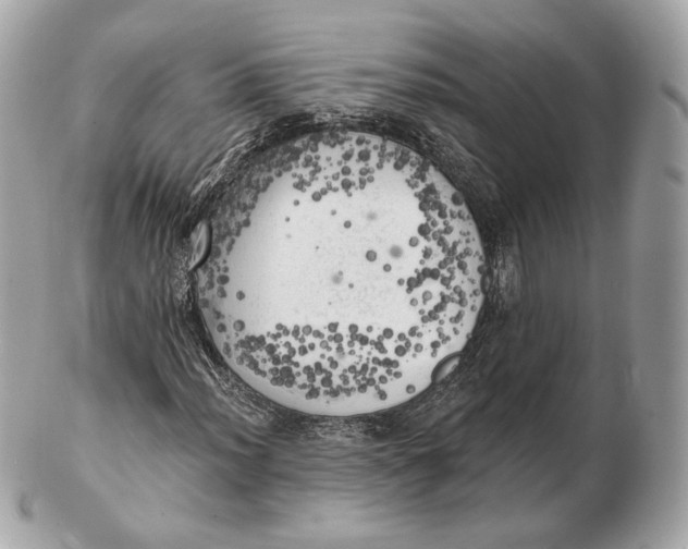 X0000102501012200808291707