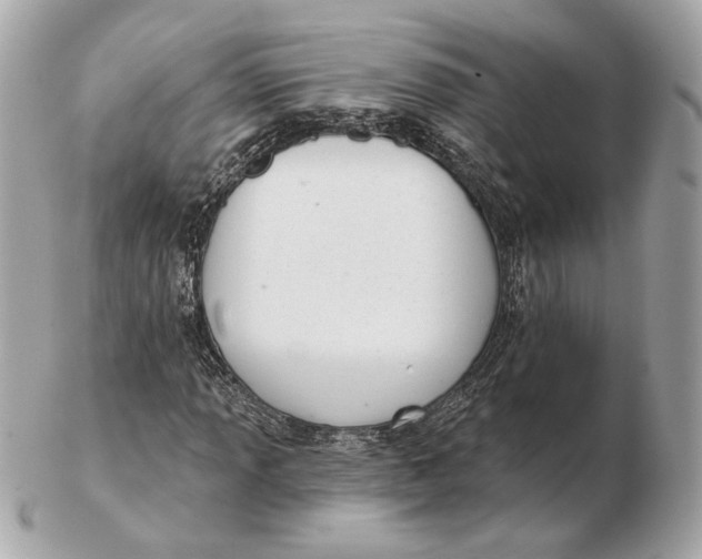 X0000102501013200808291707