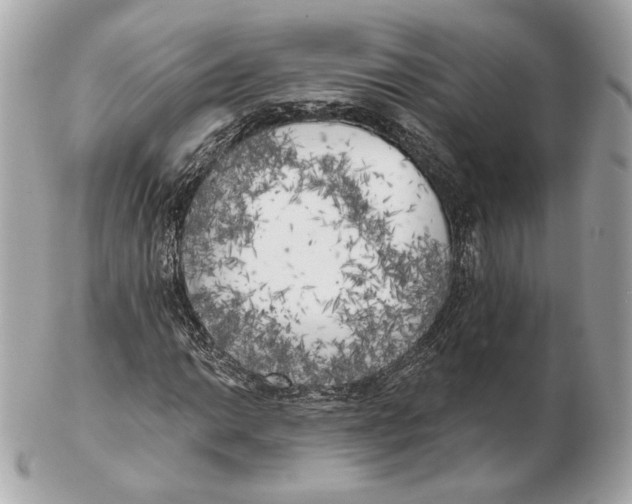 X0000102501014200808291707