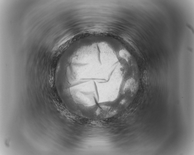 X0000102501015200808291707