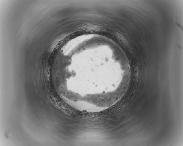 X0000102501016200808291707