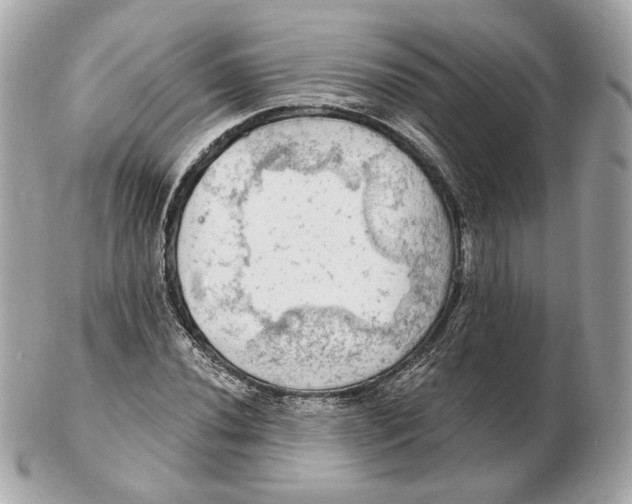 X0000102501020200808291707