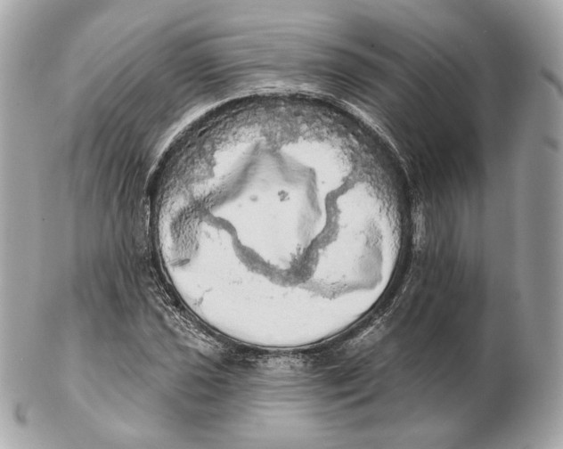 X0000102501021200808291707