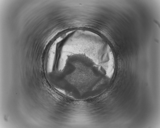 X0000102501023200808291707