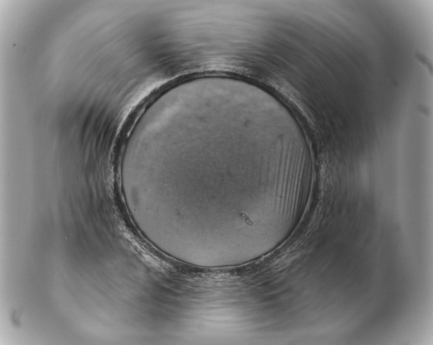 X0000102501024200808291707