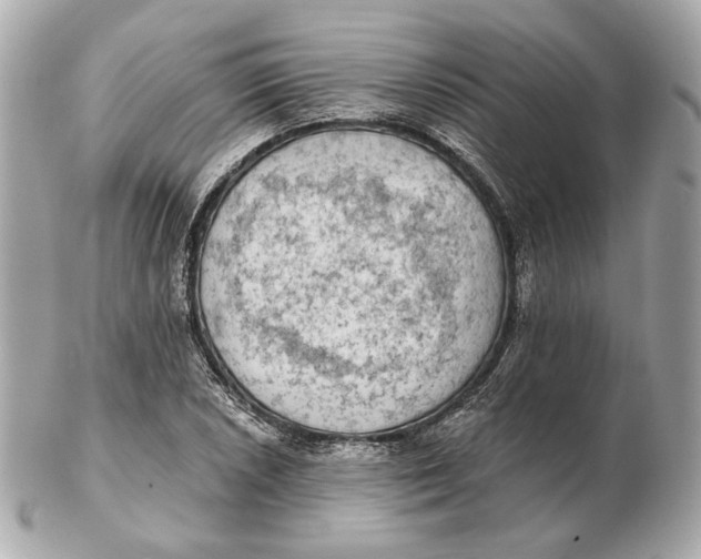 X0000102501026200808291707