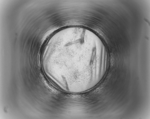 X0000102501030200808291707