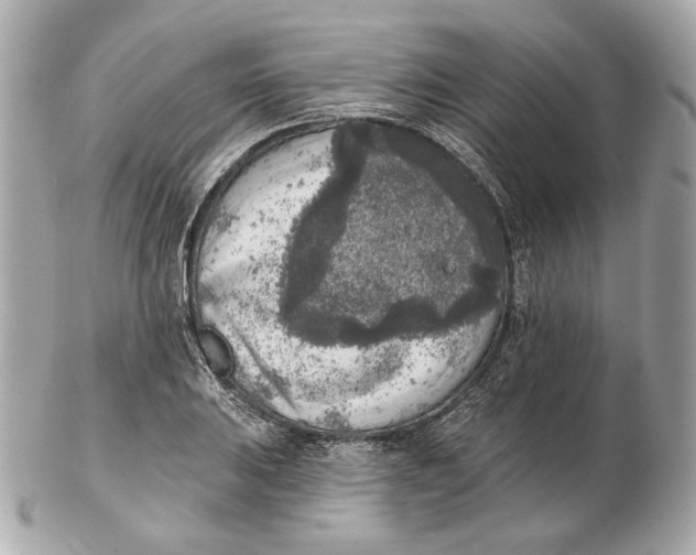 X0000102501031200808291707