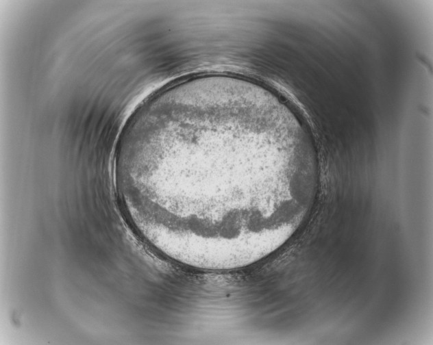 X0000102501032200808291707