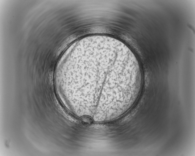 X0000102501033200808291707