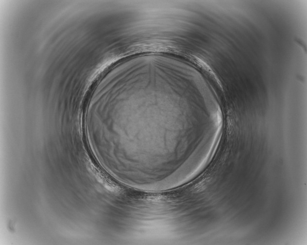 X0000102501035200808291707