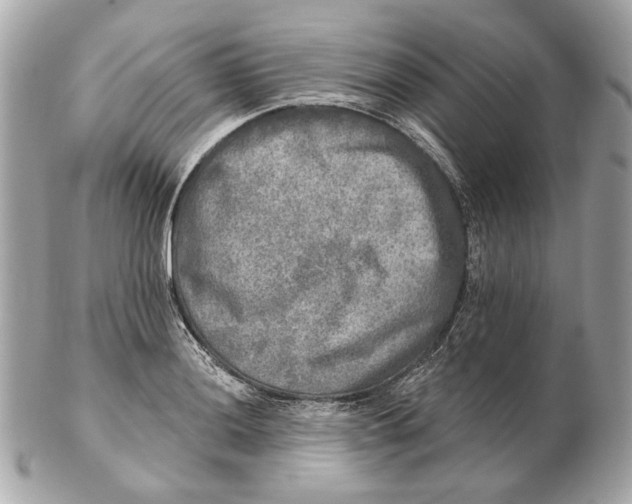 X0000102501036200808291707