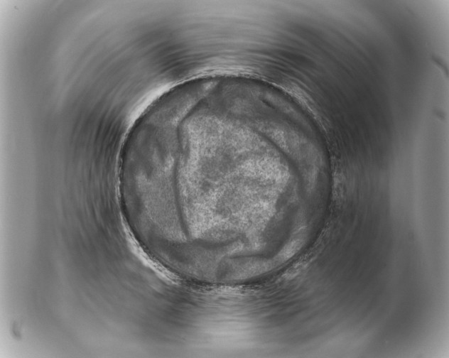 X0000102501038200808291707