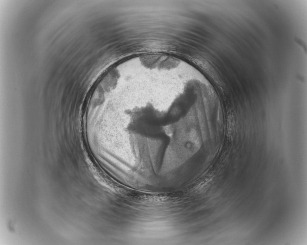 X0000102501039200808291707