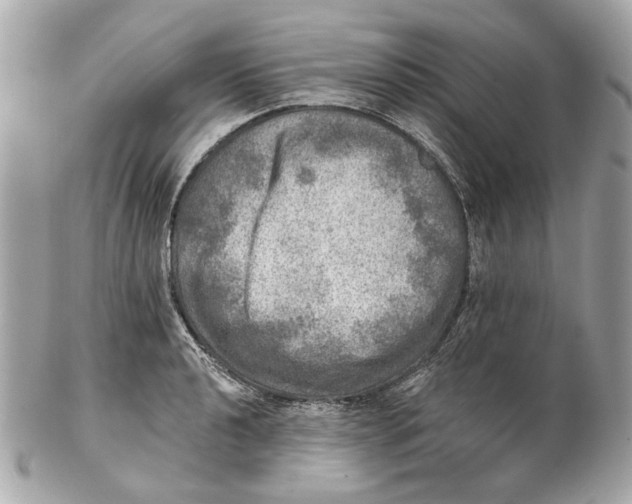 X0000102501040200808291707