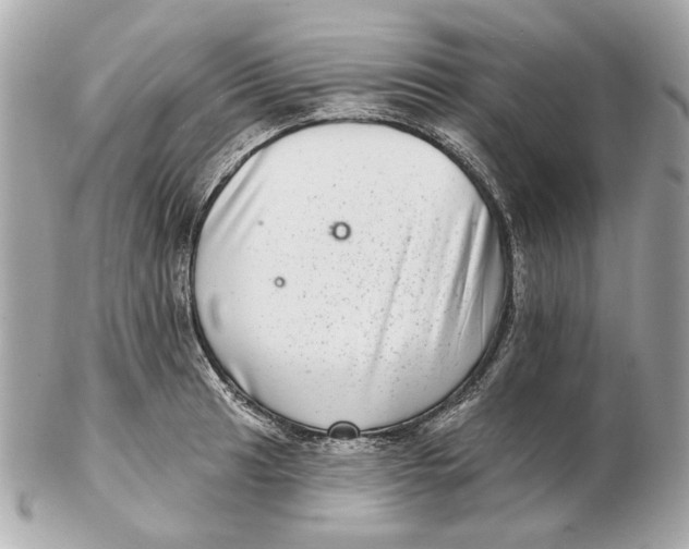 X0000102501041200808291707