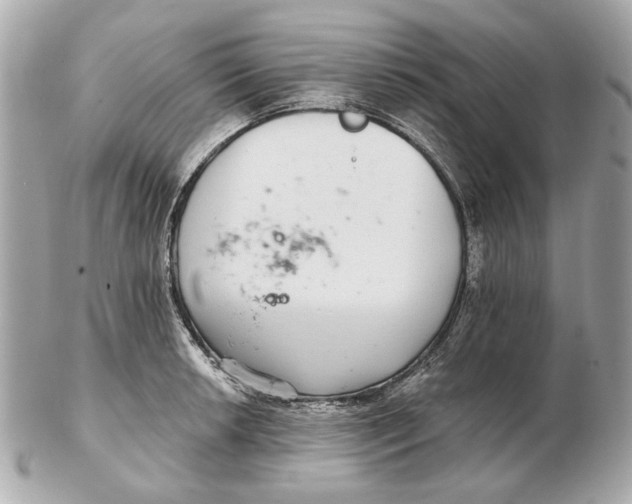 X0000102501042200808291707