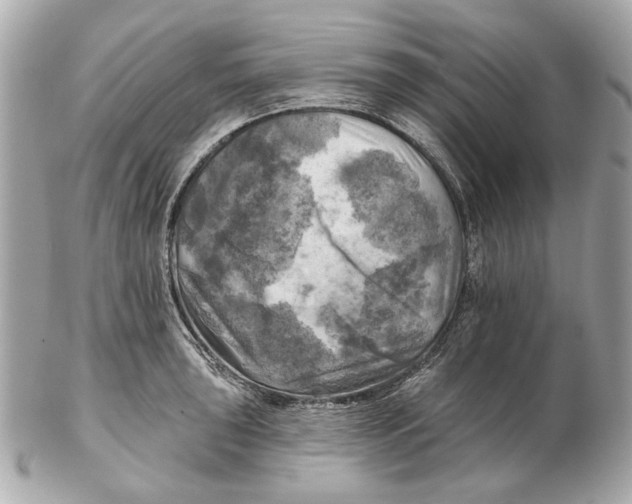 X0000102501043200808291707