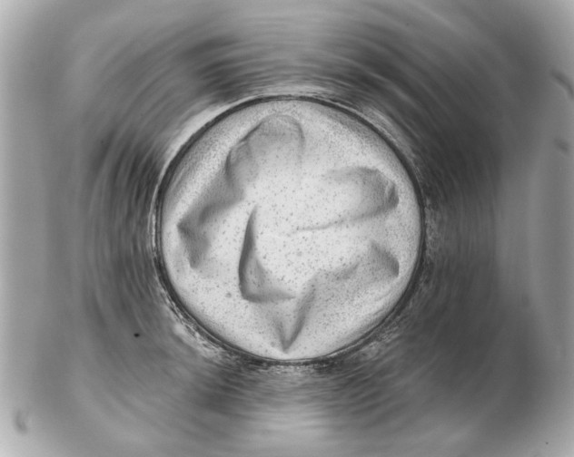 X0000102501044200808291707