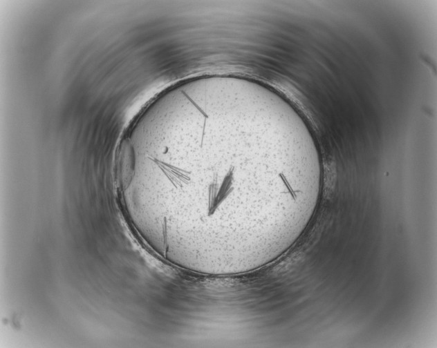 X0000102501046200808291707