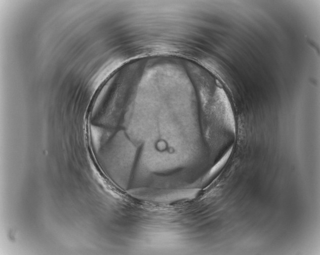 X0000102501047200808291707