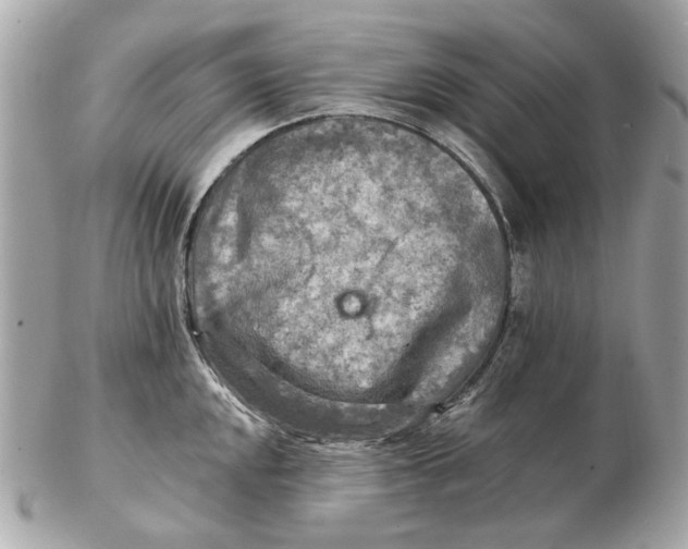 X0000102501048200808291707