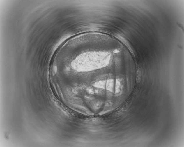 X0000102501051200808291707