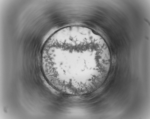 X0000102501054200808291707